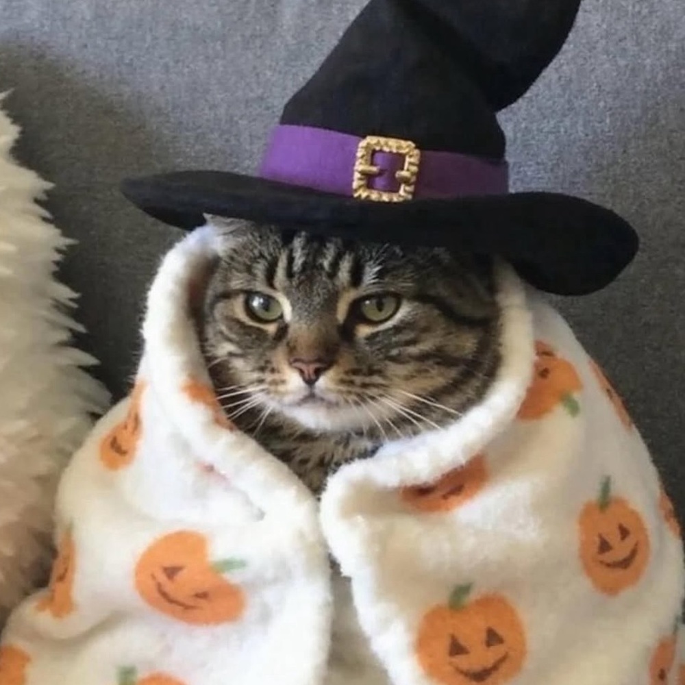 Meet your Posher, Mya